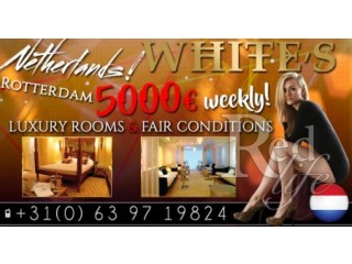 Escorts wanted in Rotterdam LUXURY  ROOMS AVAILABLE