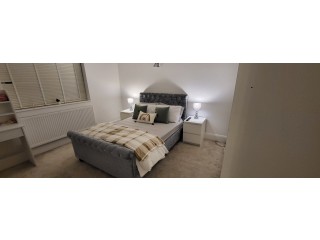Hourly Luxury room for rent for Massage or Escort.